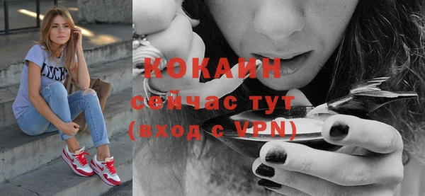 круглые Карпинск