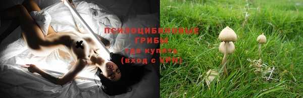 круглые Карпинск