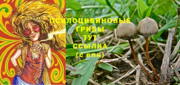 каннабис Касимов